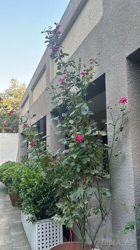 İcarəyə verilir 3 otaqlı həyət evi/bağ evi 155 m², Mərdəkan q., photo 9 from 25