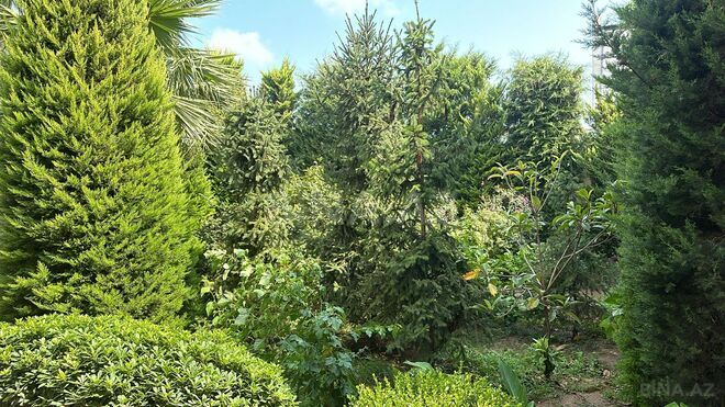 İcarəyə verilir 3 otaqlı həyət evi/bağ evi 155 m², Mərdəkan q., photo 21 from 25