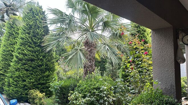 İcarəyə verilir 3 otaqlı həyət evi/bağ evi 155 m², Mərdəkan q., photo 20 from 25