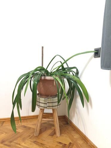 İcarəyə verilir 2 otaqlı köhnə tikili 60 m², Sahil m., photo 18 from 20
