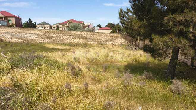 Satılır  torpaq 10 sot, Badamdar q., photo 9 from 13