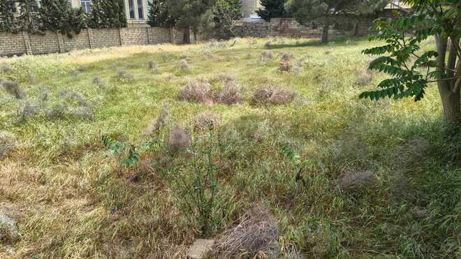 Satılır  torpaq 10 sot, Badamdar q., photo 12 from 13