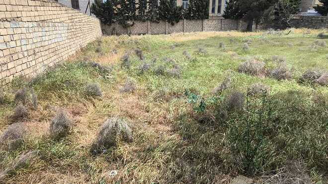 Satılır  torpaq 10 sot, Badamdar q., photo 11 from 13
