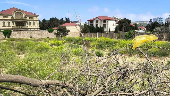Satılır  torpaq 26 sot, Badamdar q., photo 3 from 10