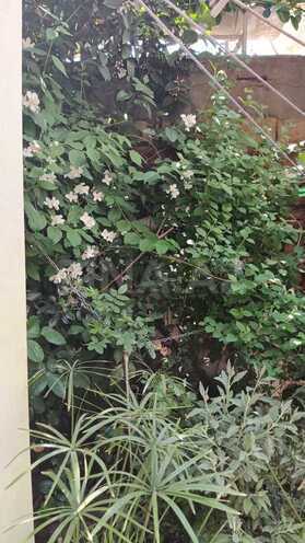 Продаётся 4-комн. дом/дача 113 м², м. Нариман Нариманов, photo 30 from 32