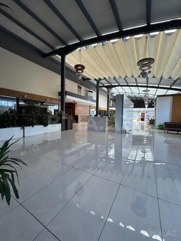 İcarəyə verilir 6 otaqlı ofis 255 m², Şah İsmayıl Xətai m., photo 3 from 23