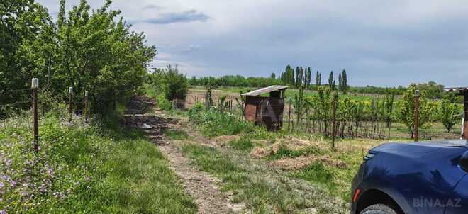 Satılır  torpaq 46 sot, photo 11 from 17