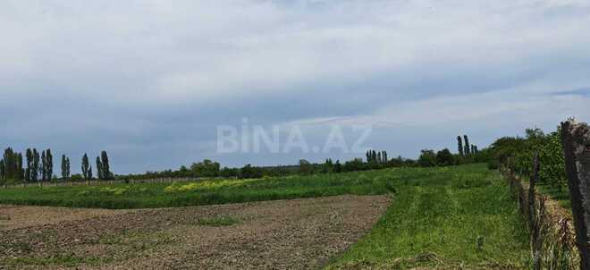 Satılır  torpaq 46 sot, photo 5 from 17
