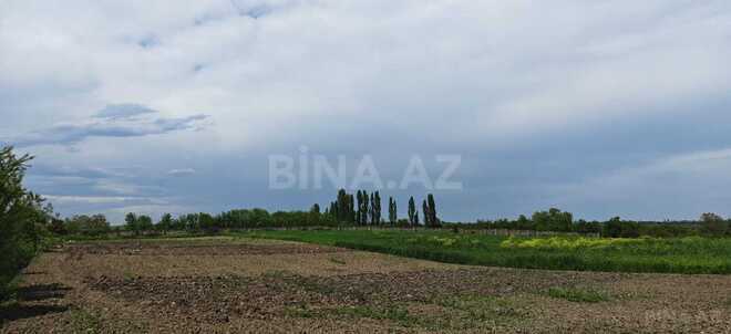Satılır  torpaq 46 sot, photo 6 from 17