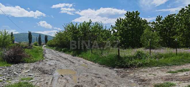 Satılır  torpaq 46 sot, photo 14 from 17