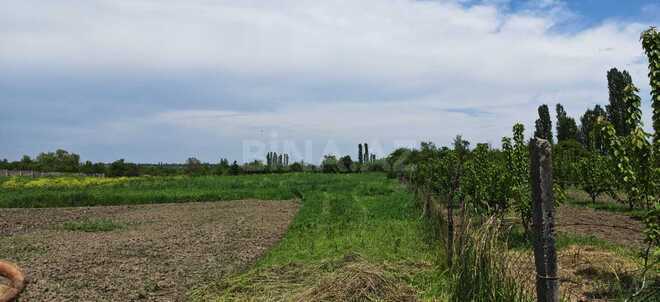 Satılır  torpaq 46 sot, photo 3 from 17