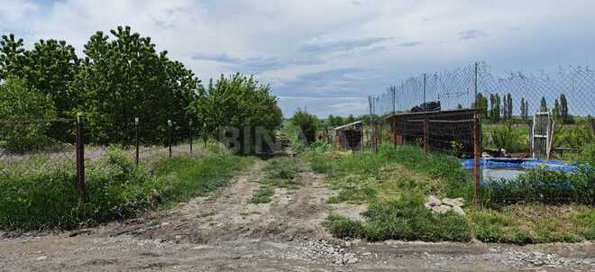 Satılır  torpaq 46 sot, photo 12 from 17