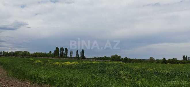Satılır  torpaq 46 sot, photo 13 from 17