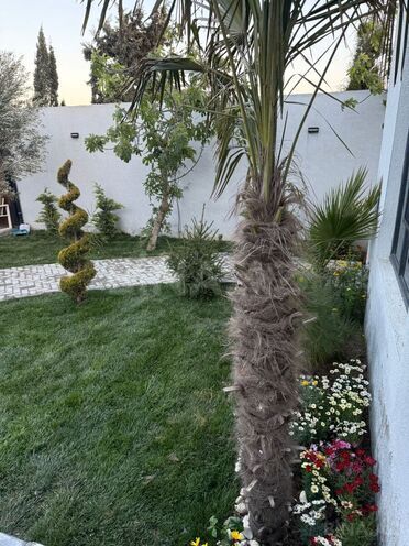 İcarəyə verilir 4 otaqlı həyət evi/bağ evi 200 m², Buzovna q., photo 29 from 30