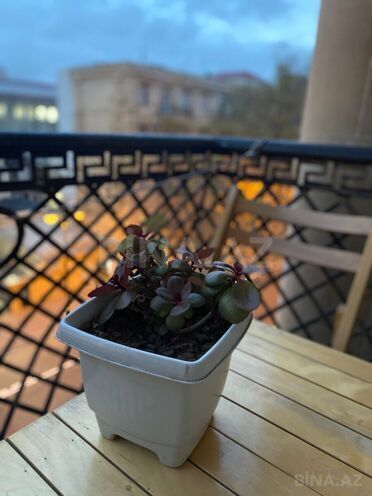 İcarəyə verilir 2 otaqlı köhnə tikili 70 m², Sahil m., photo 20 from 28