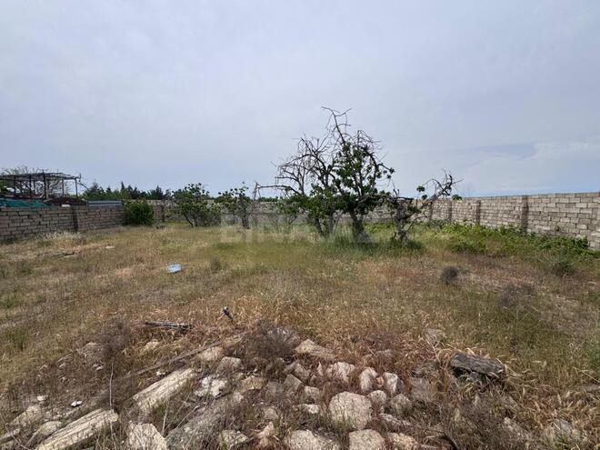 Satılır  torpaq 12 sot, Nardaran q., photo 4 from 9