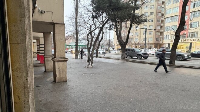 İcarəyə verilir  obyekt 65 m², İnşaatçılar m., photo 3 from 15