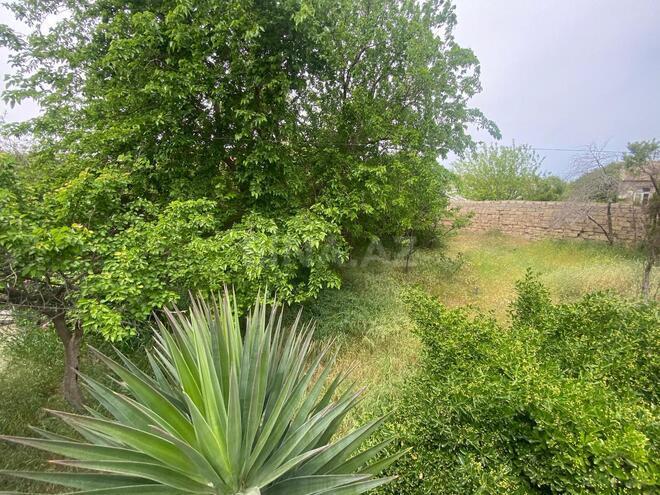 Satılır  obyekt 1 000 m², Maştağa q., photo 9 from 11