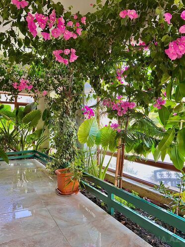 İcarəyə verilir 6 otaqlı həyət evi/bağ evi 400 m², Mərdəkan q., photo 8 from 32