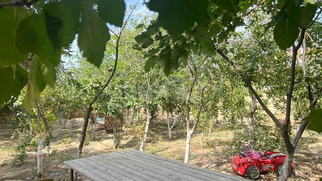 Satılır  torpaq 6 sot, Ceyranbatan q., photo 5 from 17