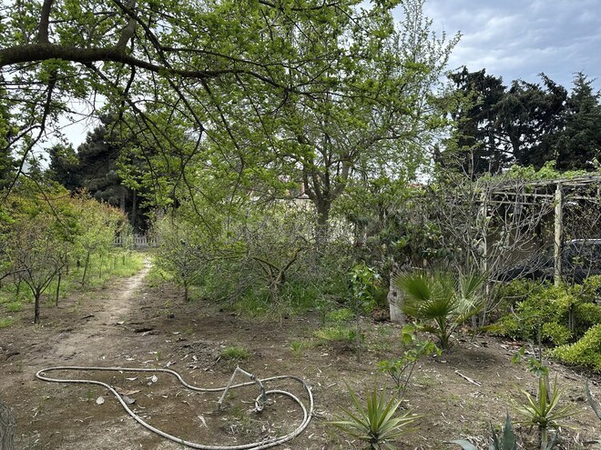 Satılır 15 otaqlı həyət evi/bağ evi 350 m², Nardaran q., photo 7 from 32