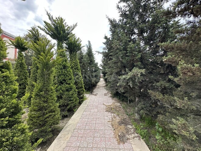 Satılır 15 otaqlı həyət evi/bağ evi 350 m², Nardaran q., photo 14 from 32