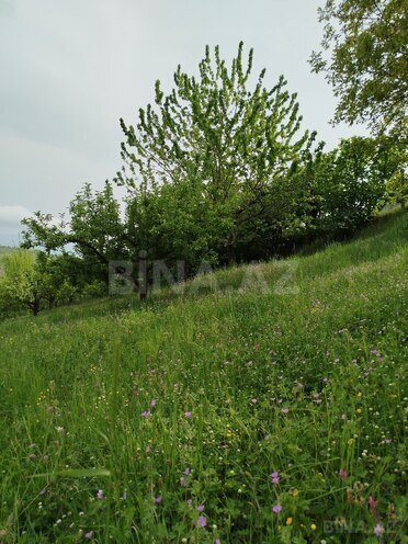 Продаётся 3-комн. дом/дача 45 м², photo 17 from 22