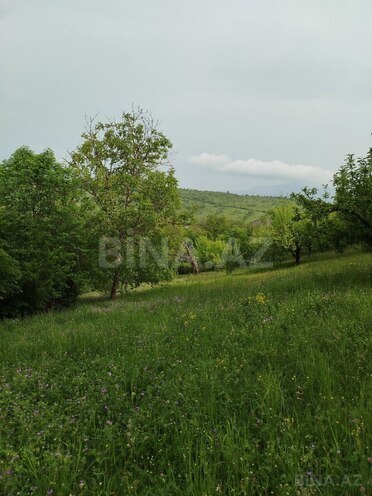 Продаётся 3-комн. дом/дача 45 м², photo 15 from 22