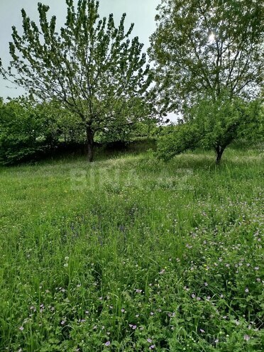 Продаётся 3-комн. дом/дача 45 м², photo 16 from 22