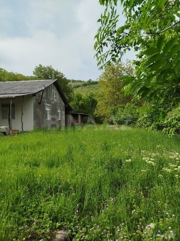 Продаётся 3-комн. дом/дача 45 м², photo 3 from 22