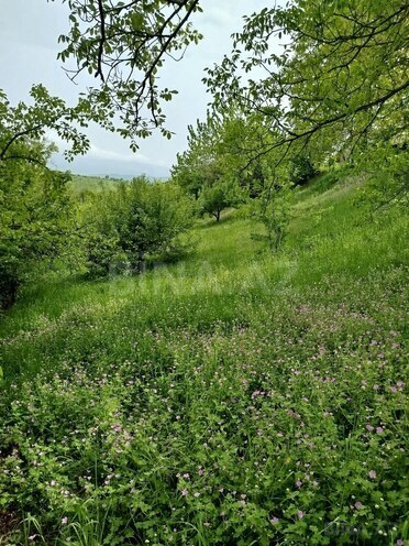 Продаётся 3-комн. дом/дача 45 м², photo 14 from 22