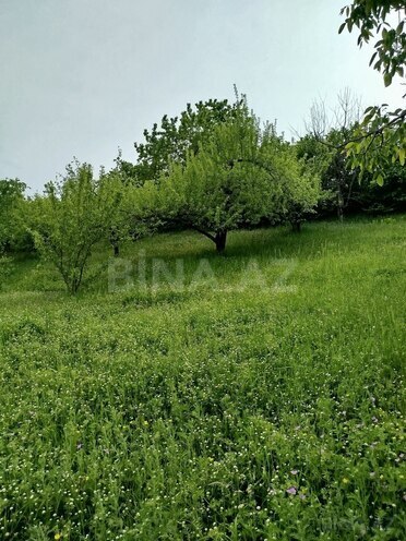 Продаётся 3-комн. дом/дача 45 м², photo 20 from 22