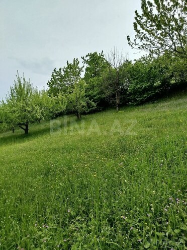 Продаётся 3-комн. дом/дача 45 м², photo 18 from 22
