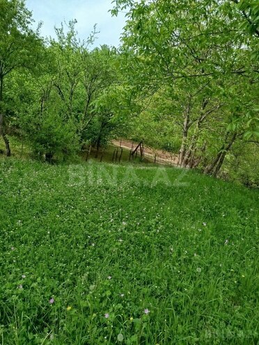 Продаётся 3-комн. дом/дача 45 м², photo 10 from 22