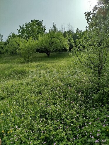 Продаётся 3-комн. дом/дача 45 м², photo 19 from 22