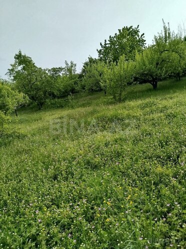 Продаётся 3-комн. дом/дача 45 м², photo 21 from 22