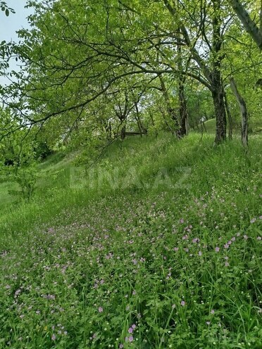 Продаётся 3-комн. дом/дача 45 м², photo 13 from 22