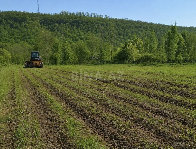 Продаётся  участок 50 сот, photo 3 from 5