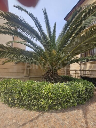Продаётся 6-комн. дом/дача 700 м², пос. Ази Асланова, photo 3 from 29