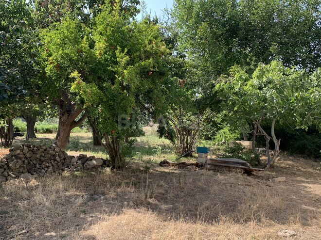 Продаётся  участок 20 сот, photo 18 from 25