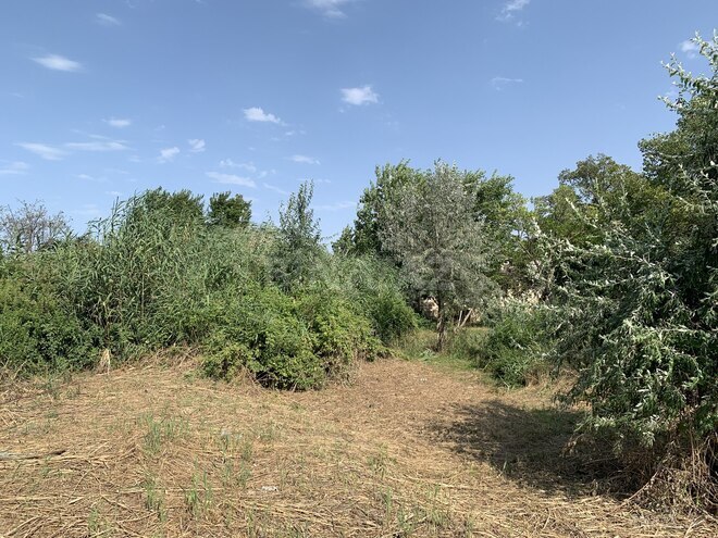 Продаётся  участок 20 сот, photo 23 from 25