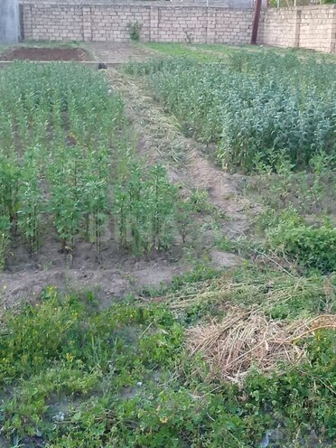 Продаётся  участок 8 сот, пос. Бильгях, photo 1 from 3