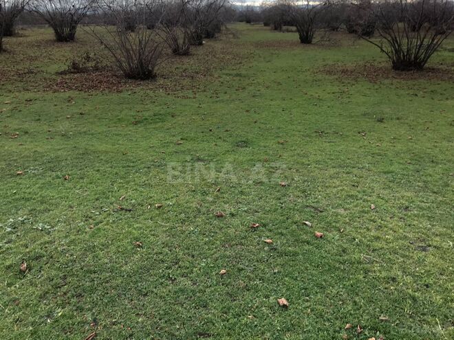 Продаётся  участок 250 сот, photo 4 from 10