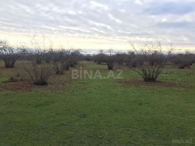 Продаётся  участок 250 сот, photo 6 from 10