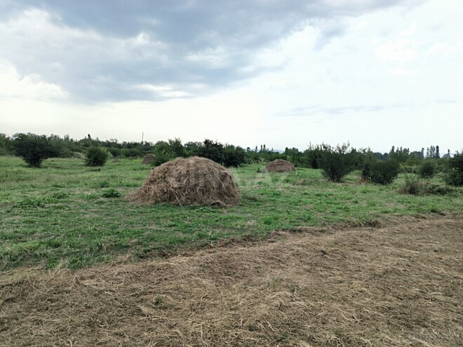 Продаётся  участок 250 сот, photo 3 from 10