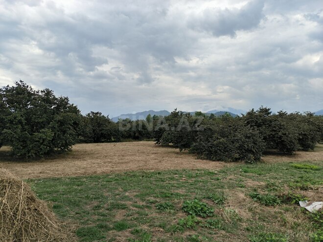 Продаётся  участок 250 сот, photo 5 from 10
