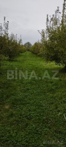 Продаётся  участок 115 сот, photo 10 from 11