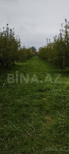 Продаётся  участок 115 сот, photo 8 from 11
