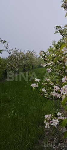 Продаётся  участок 115 сот, photo 7 from 11