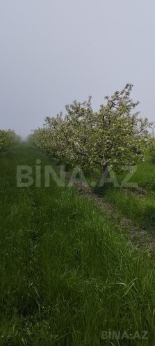 Продаётся  участок 115 сот, photo 5 from 11